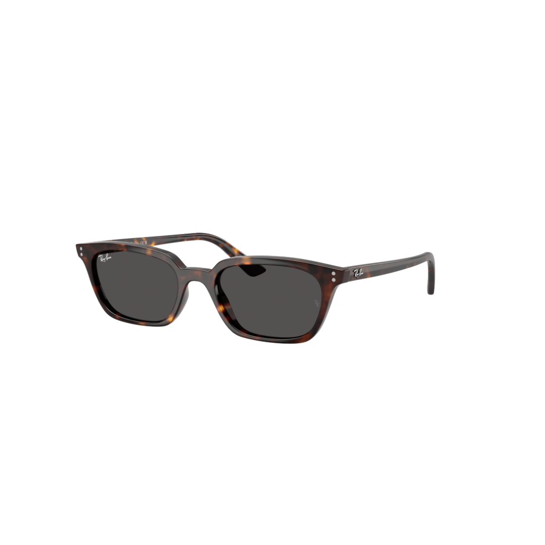 RAYBAN