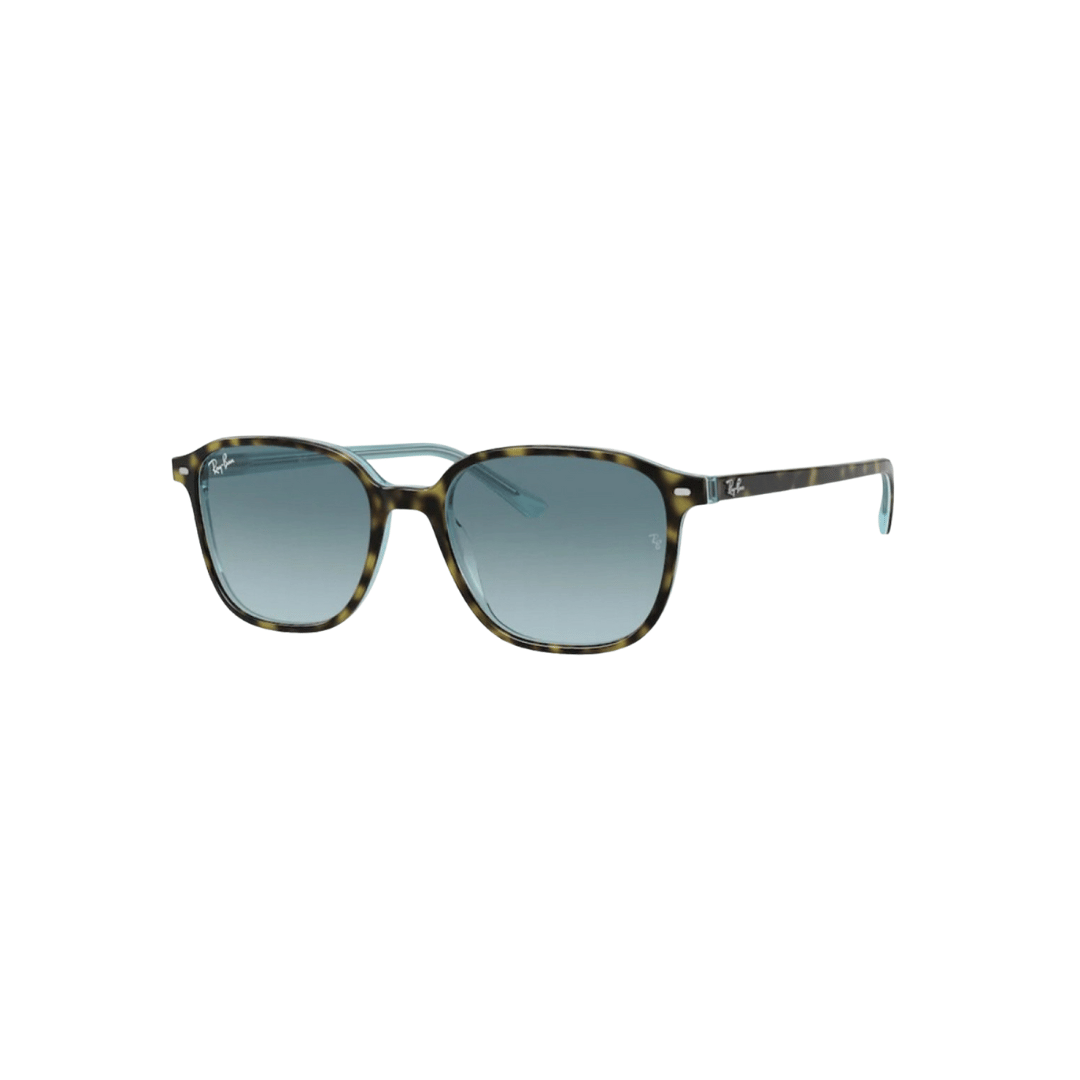 RAYBAN RB2193