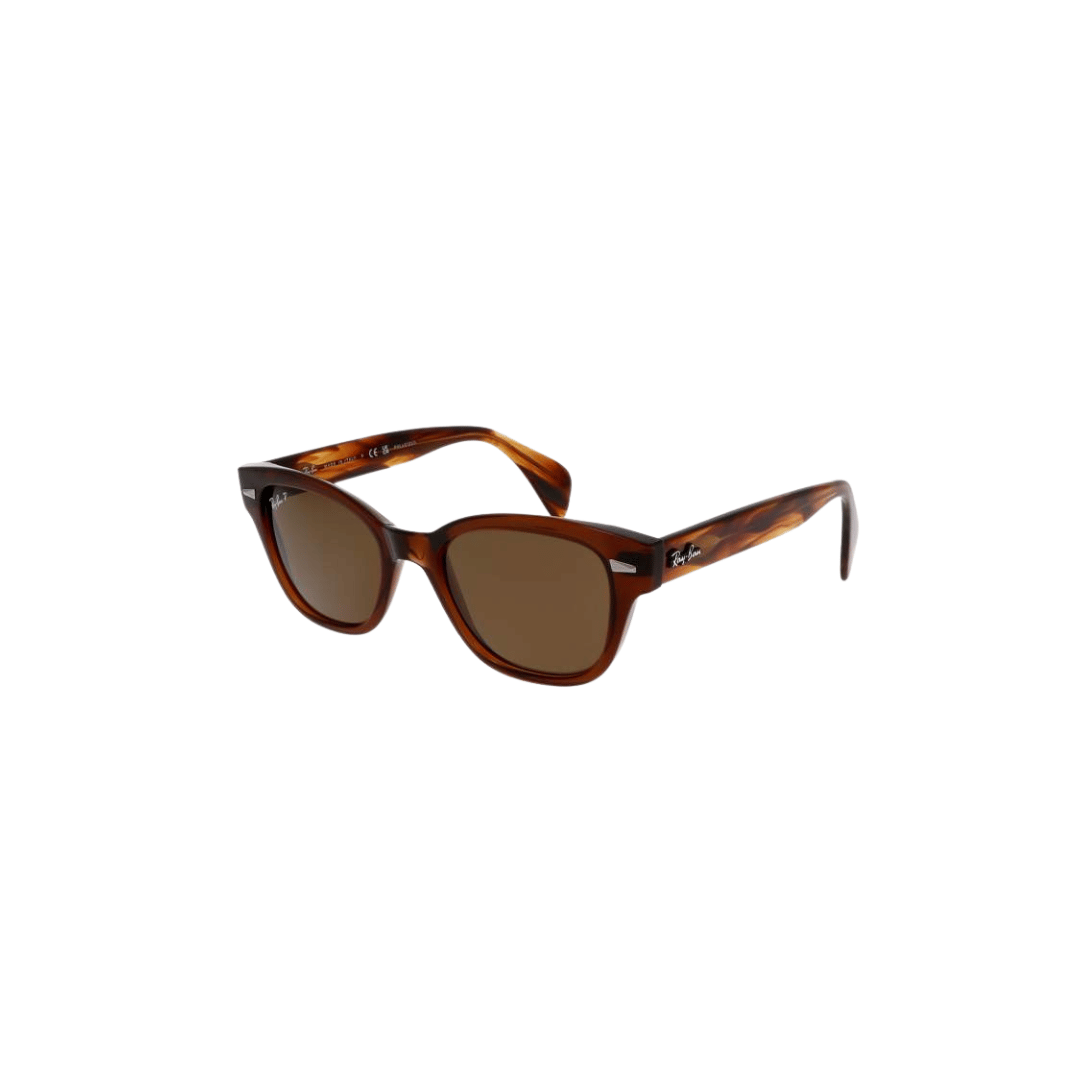RAYBAN RB 0880S